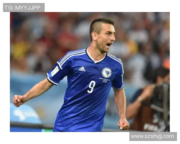 波黑足球天王传记 揭示国家队英雄的成长与辉煌历程